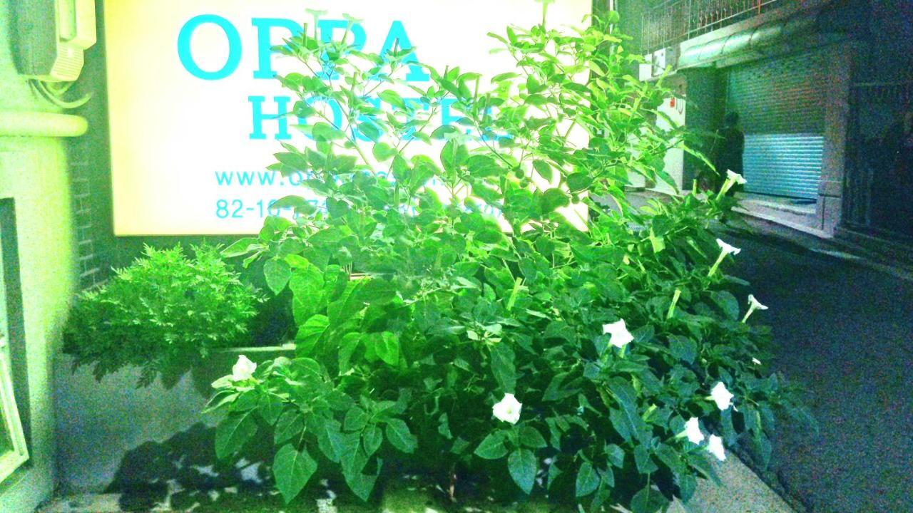Oppa Sinchon-hongdae Hostel